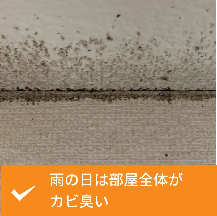 雨の日は部屋全体がカビ臭い