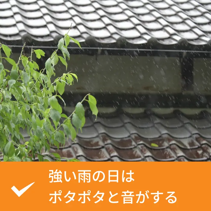 強い雨の日はポタポタと音がする